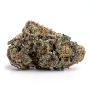 buy Purple Urkle