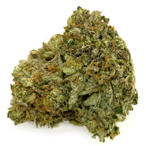 buy Black Jack Kush *Hybrid*