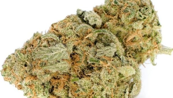 La Confidential2 New Cannabis Strains for Summer