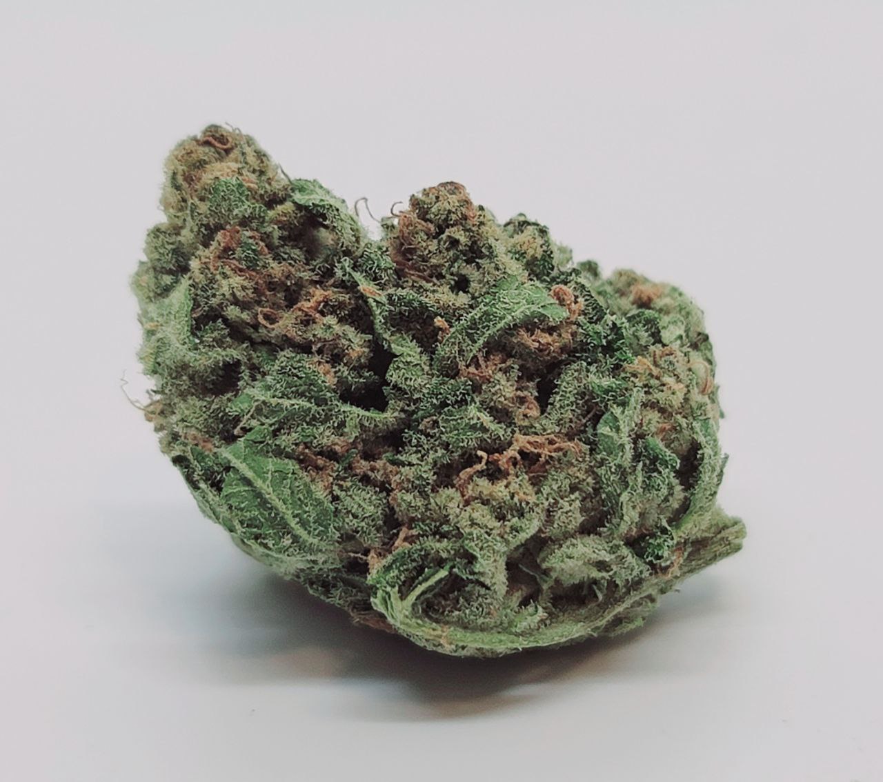 buy NITRO OG – HYBRID