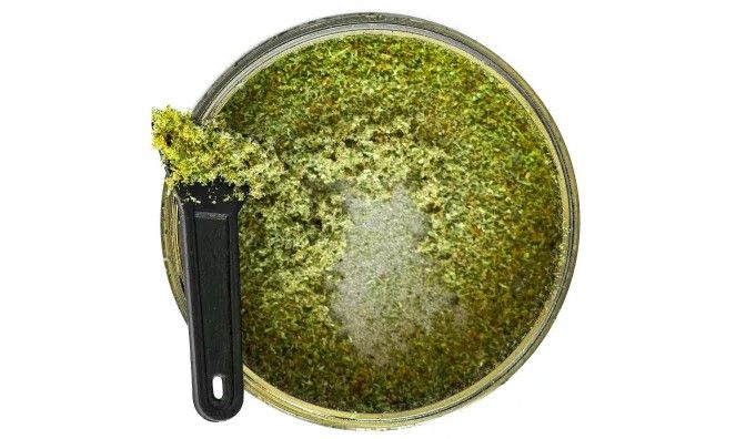 how to decarb kief 44 How To Decarb Kief For Edibles