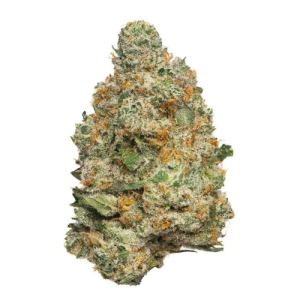 buy Apple Fritter - Sativa