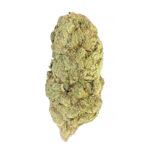 buy Hash Plant – AAA – $110/Oz