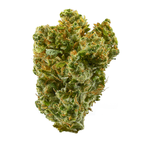 buy SUPER SILVER HAZE – SATIVA