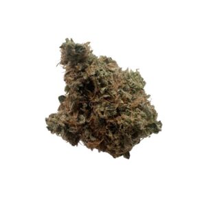 buy Black Dutch Indica