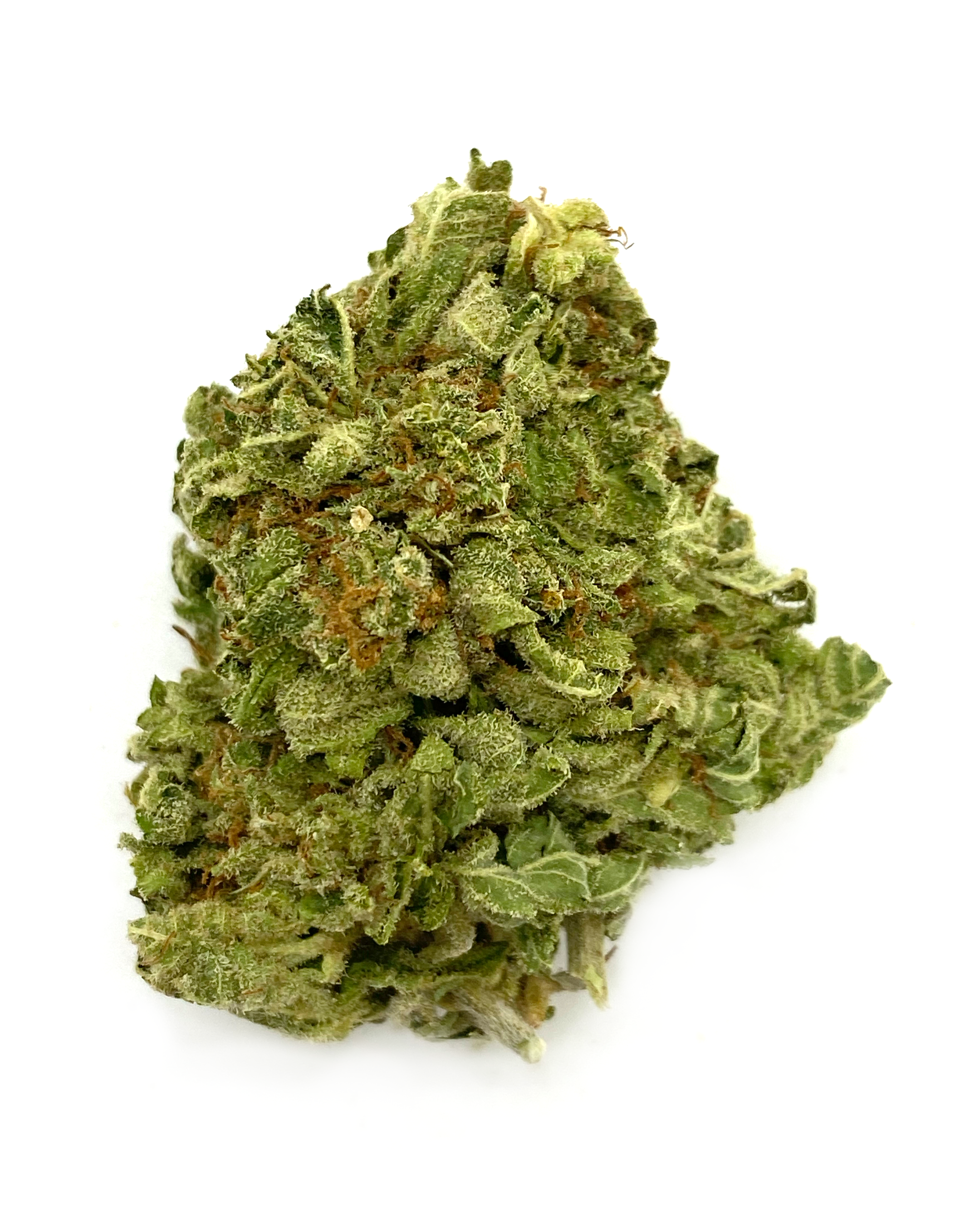 buy CRITICAL KUSH – INDICA *BULK*