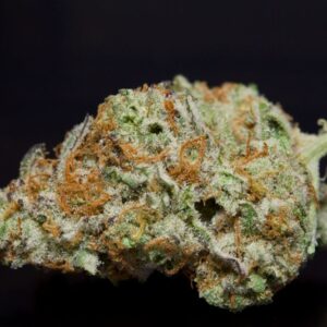 buy Citrus Paradise-Sativa