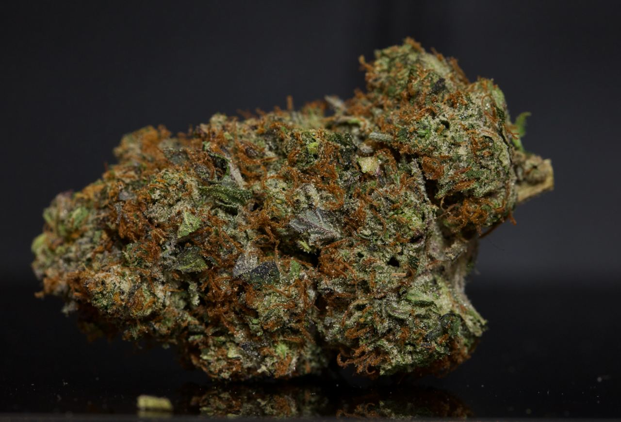 buy Amnesia LSO -Indica