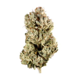 buy GG4 - Sativa