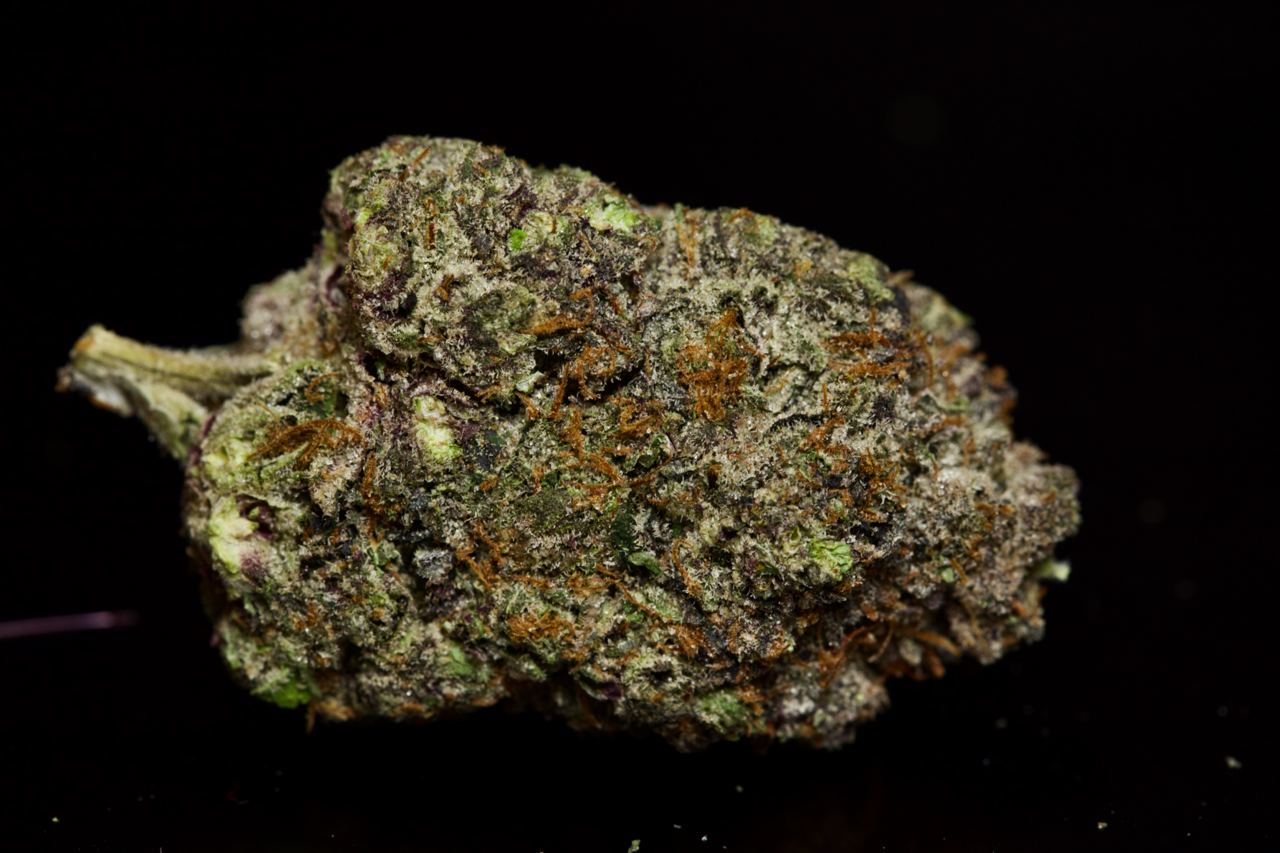 buy El Chapo Rockstar LSO-Indica