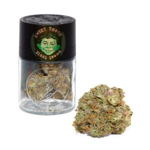 buy 7G Waltz Premium Flower Jars