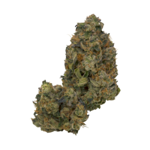 buy Pink Octane - Indica