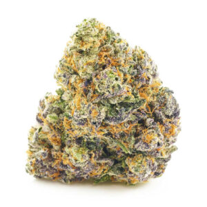 buy Funky Monkey - Hybrid