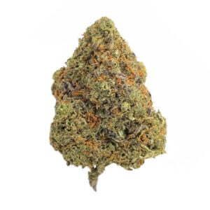 buy Black Cherry Gelato - AAA+