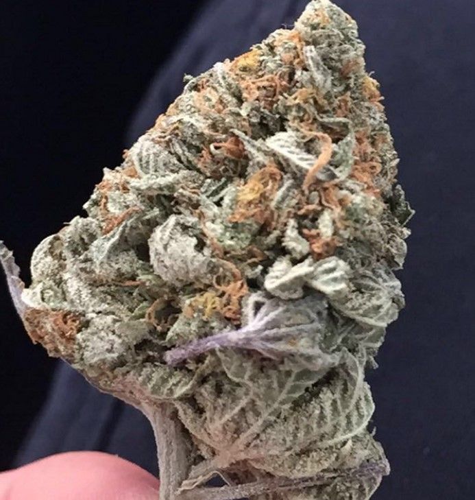 fruity pebbles weed strain review 4 Frooty Pebbles Weed Strain Review