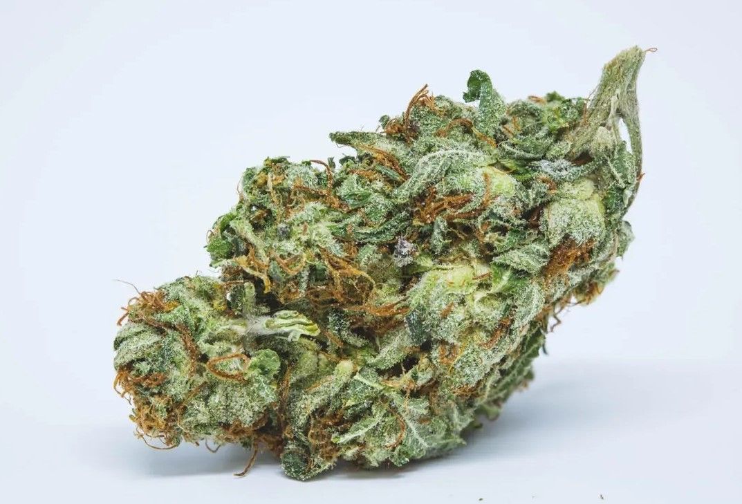 Afghani Strain Review Afghani Strain