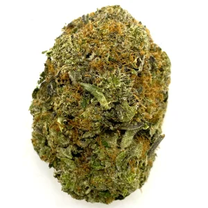 buy BLACK JACK KUSH – HYBRID