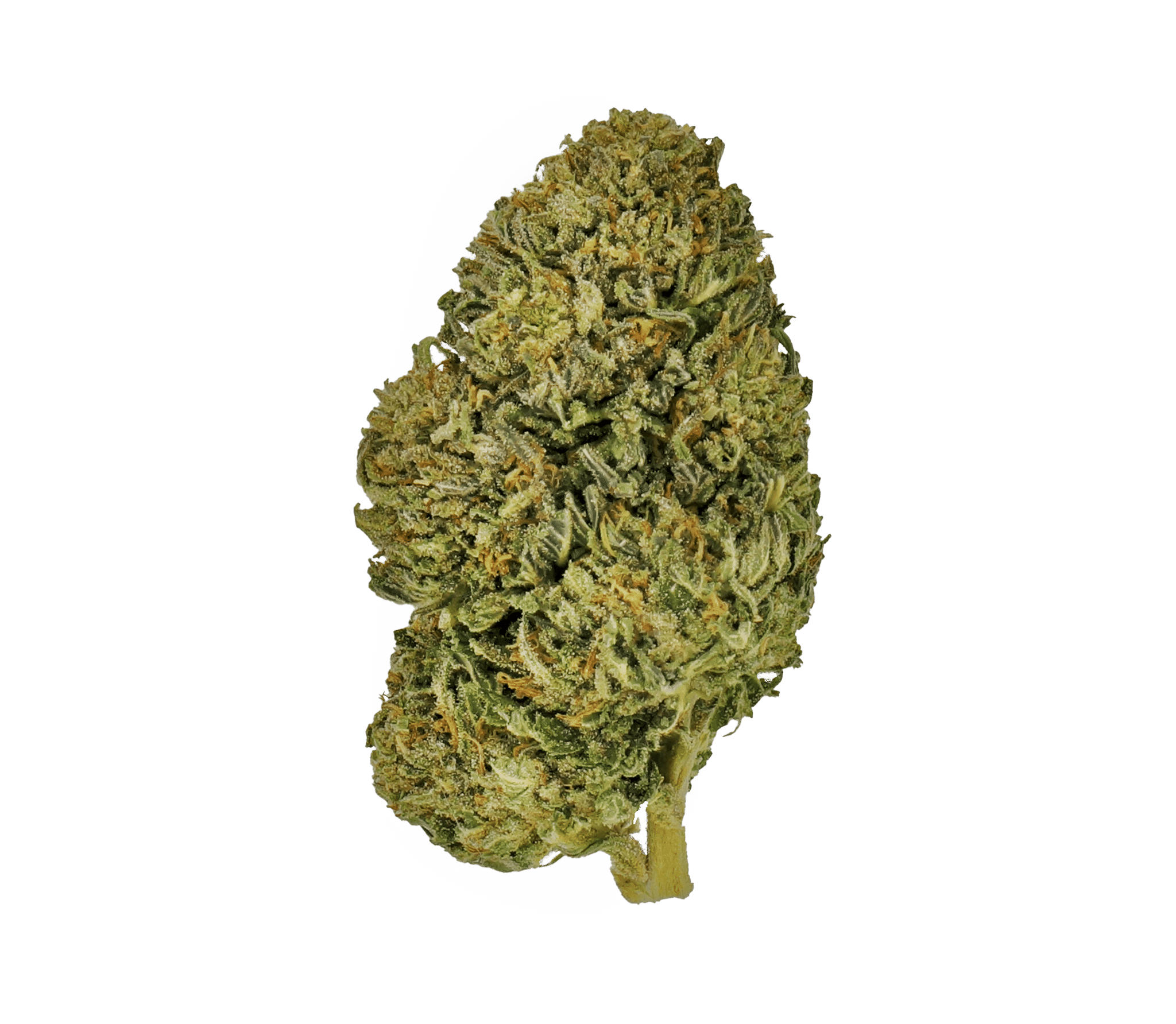 bubba kush e1647048287112 Hunny Pot Weed Online Dispensary | What happened to Hunny Pot?