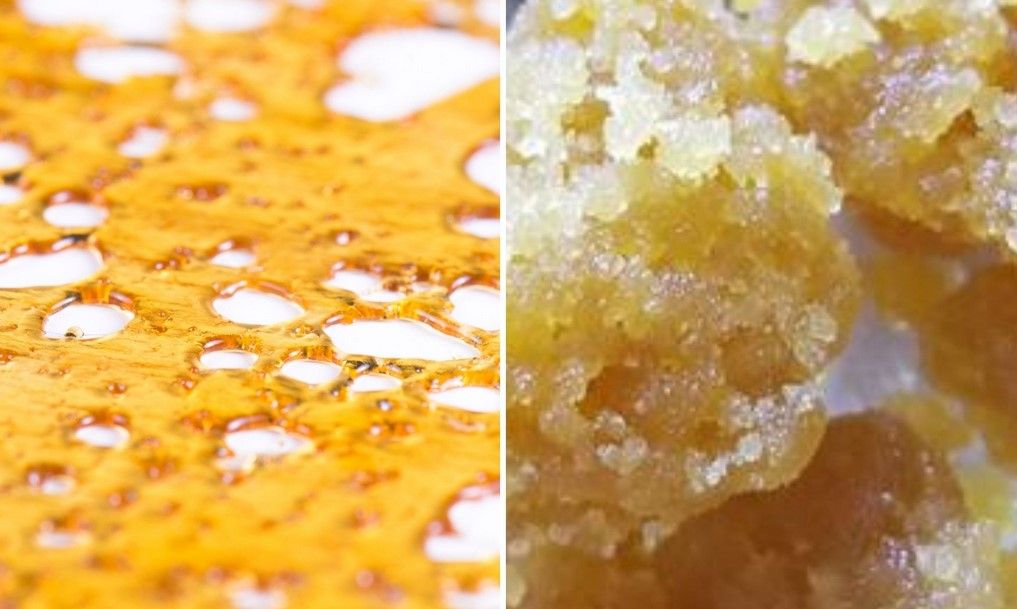 shatter and wax 2 Shatter And Wax: What Are They And How Are They Made?