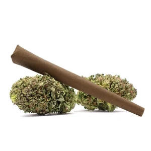 buy Pre Rolled Blunts 2.5g