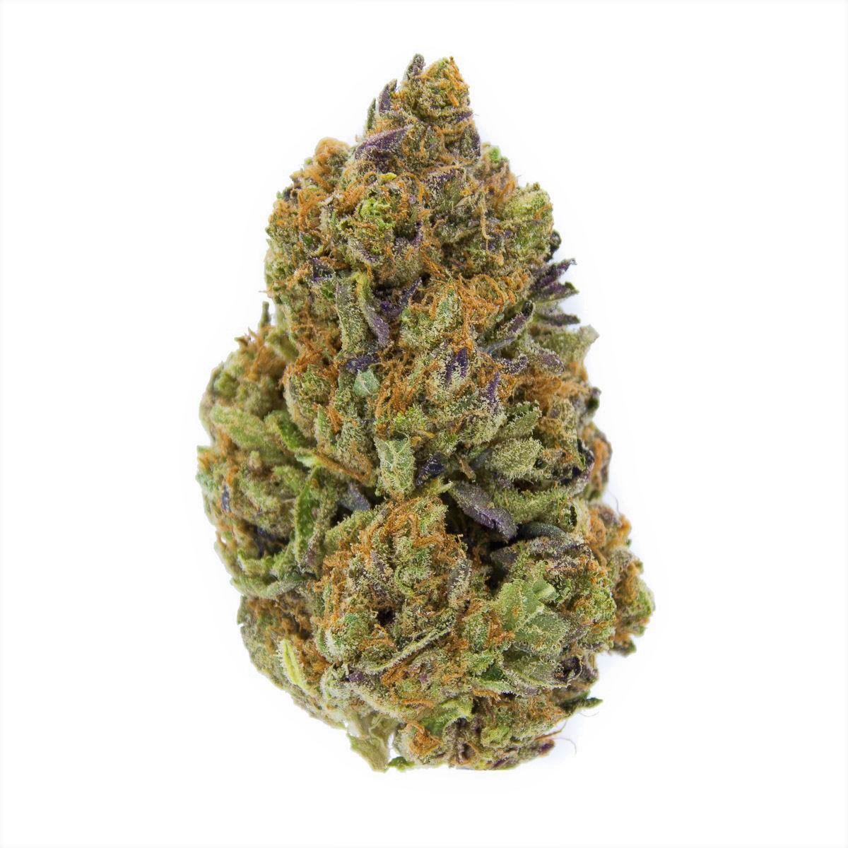 buy BLACK GOLD – INDICA