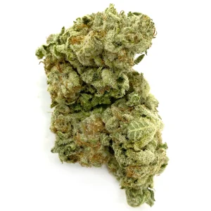 buy VERY BERRY – SATIVA