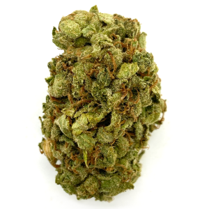 buy MANGO OG – SATIVA