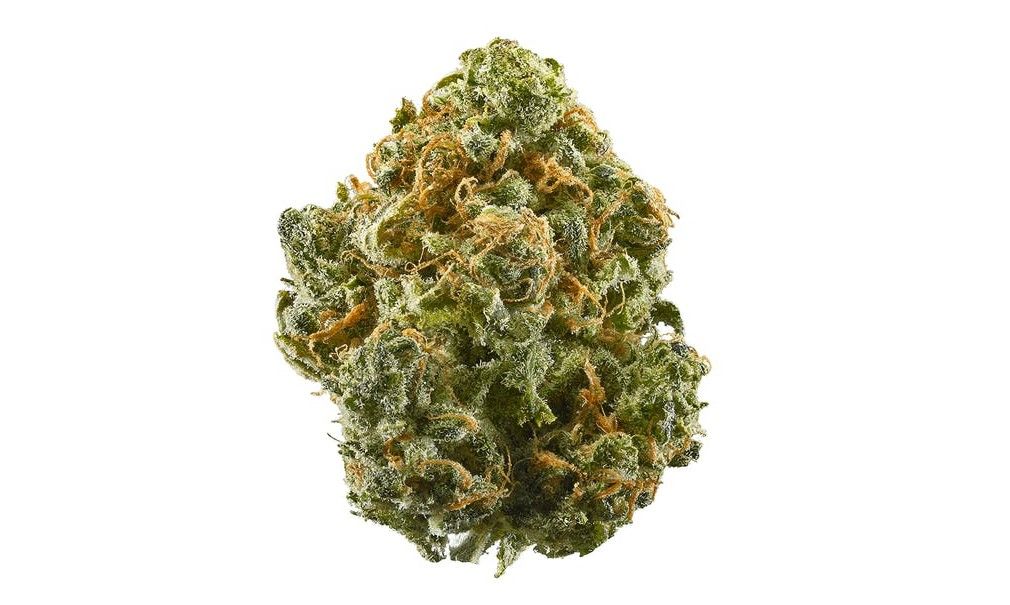 blue dream strain review Blue Dream Strain Review