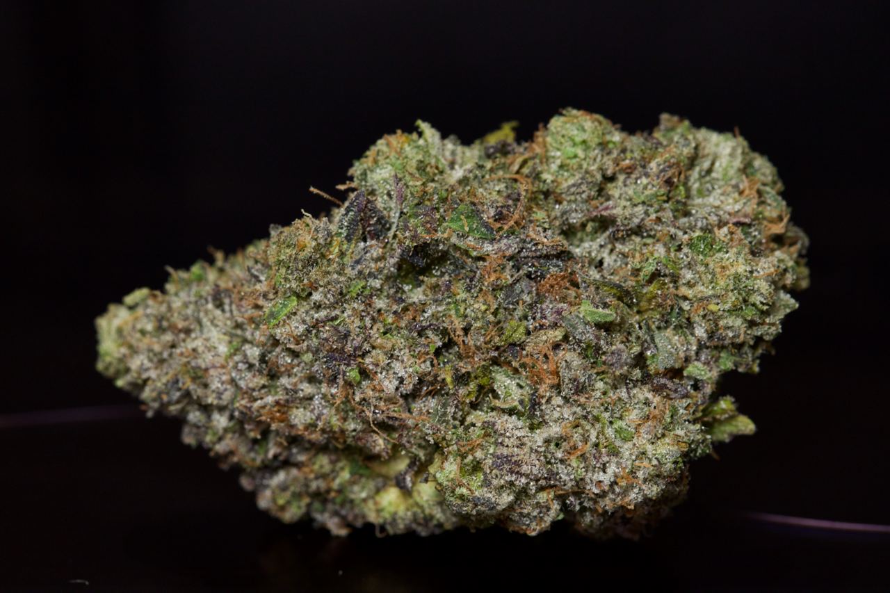 buy Pink Comet LSO-Indica