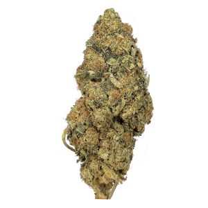 buy Recon – AA+ – $65/Oz