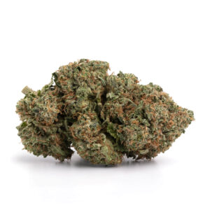 buy Pre-98 Bubba Kush