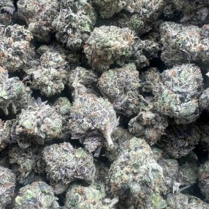 buy Pink Gas Mask LSO Premium Smalls - Indica