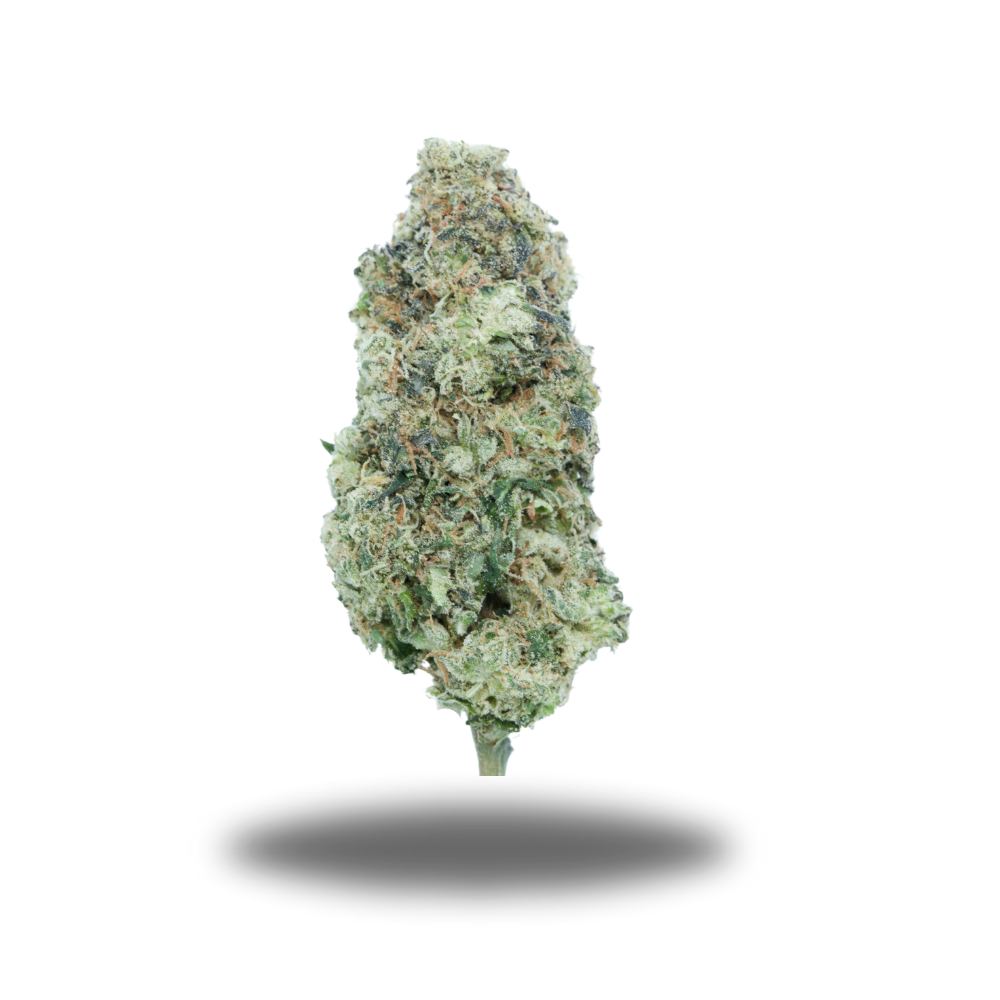 buy Mint Guava LSO - Sativa