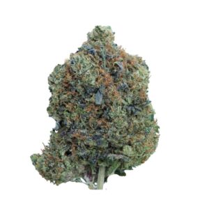 buy Pink Coast - Indica