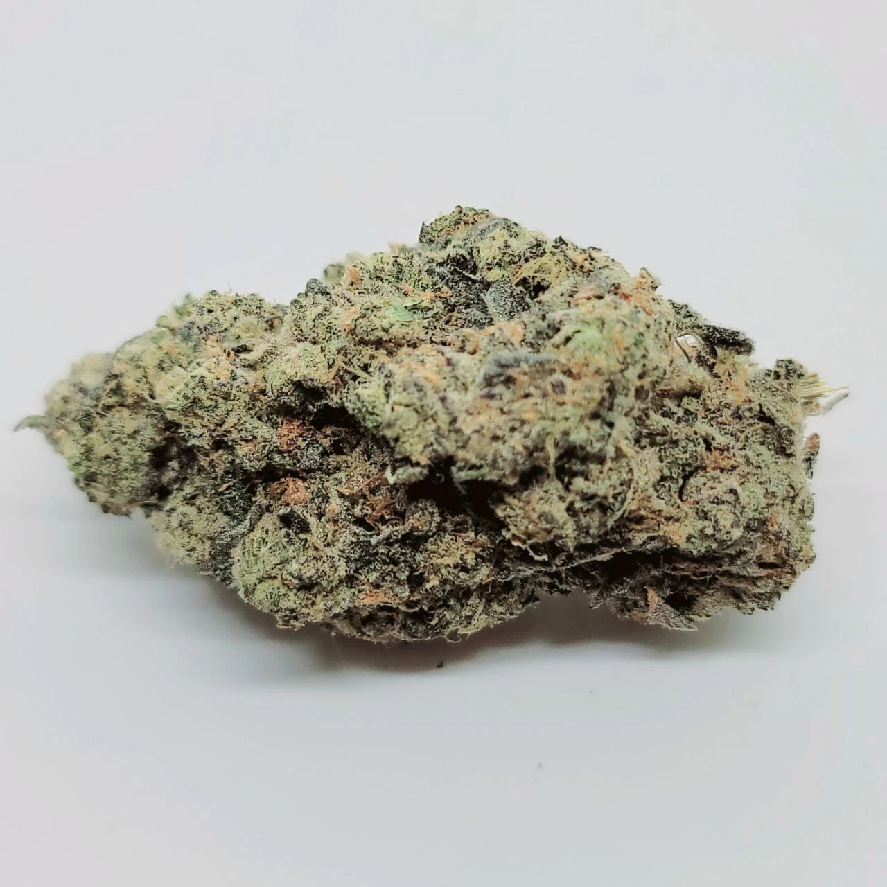 buy Prophet OG *Hybrid*