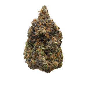 buy Pink Bazooka - Indica