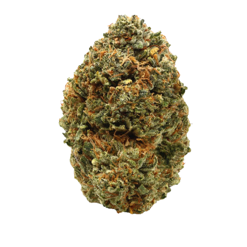 buy Pink Godfather LSO - Indica