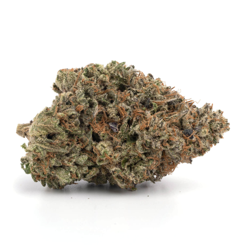 buy Quattro Pink - Indica