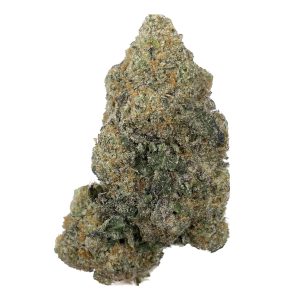 buy Gelato  – AAA+