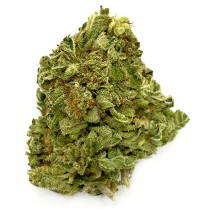 buy CRITICAL KUSH – INDICA *BULK*