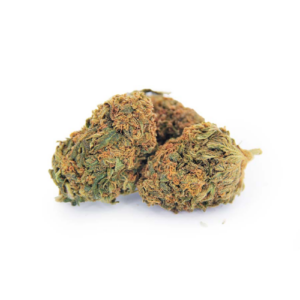 buy Orange Crush - Sativa