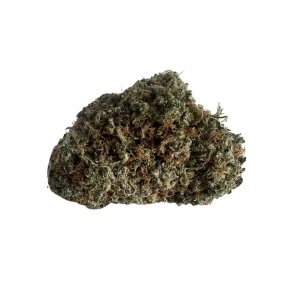 buy Super Lemon Haze *Sativa*