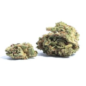 buy Blueberry Diesel-BULK