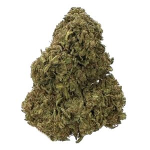 buy Purple Kush – AA+ – $80/Oz