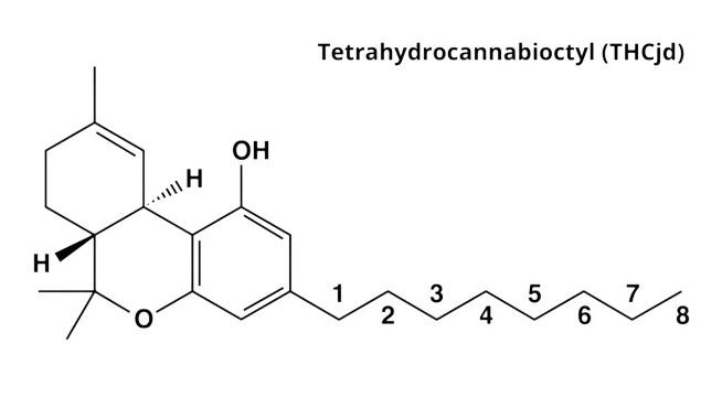 what is thc jd What Is THC-JD