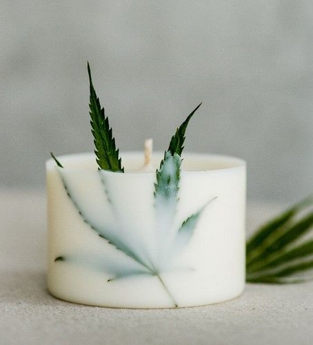 Hemp Candles All About Hemp Candles: FAQs and DIYs