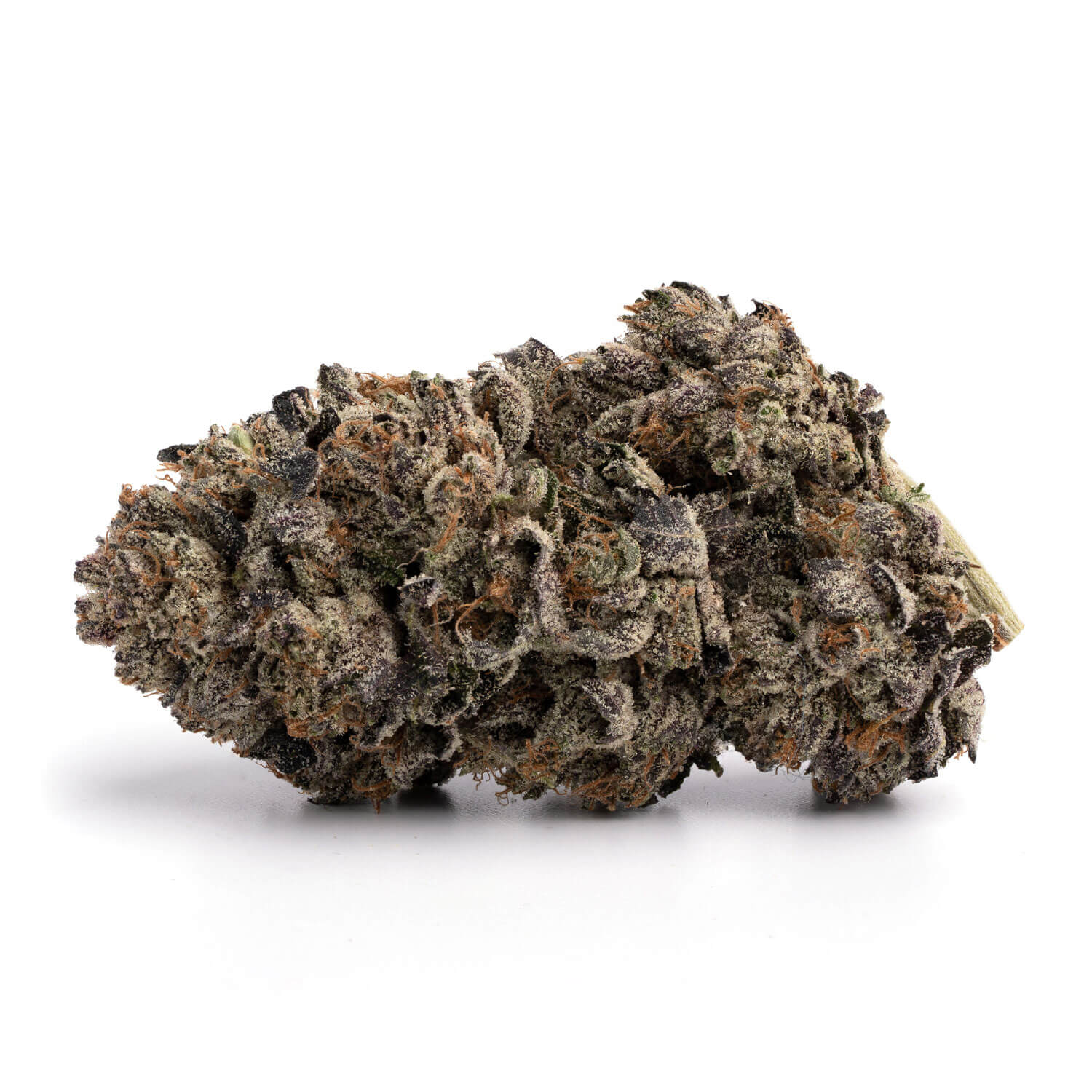 buy Grand Daddy Purple - Sativa