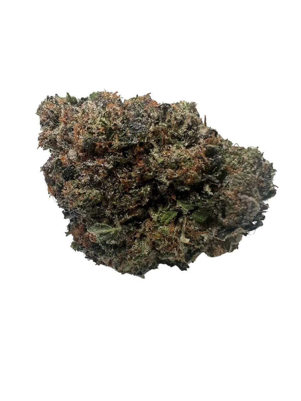 buy Monster OG Kush *Indica*