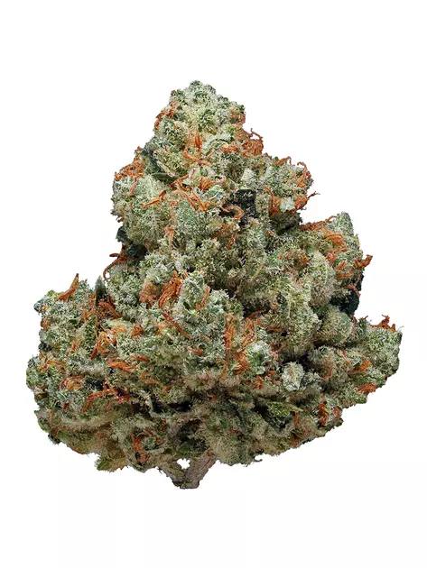 buy Chem Dawg - Hybrid