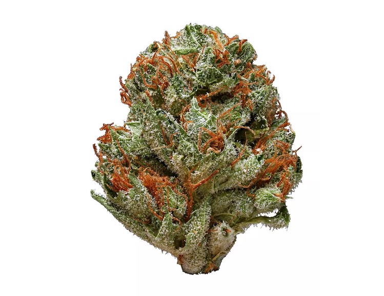 buy Kandy Kush-BULK